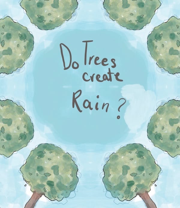 Do trees make rain?